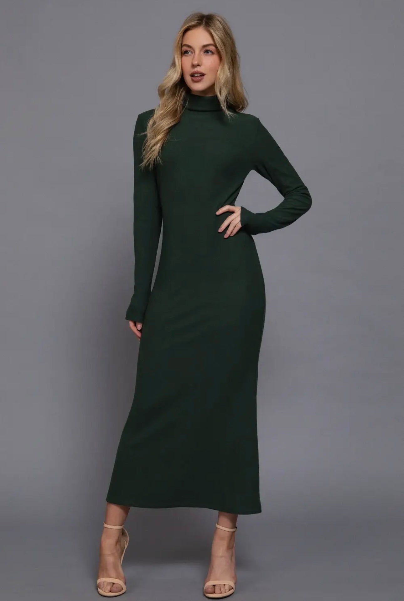 Turtle neck brushed rib long dress