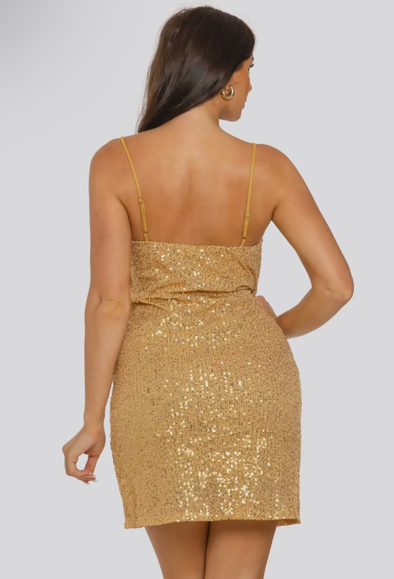 Sequin mesh lining mini dress