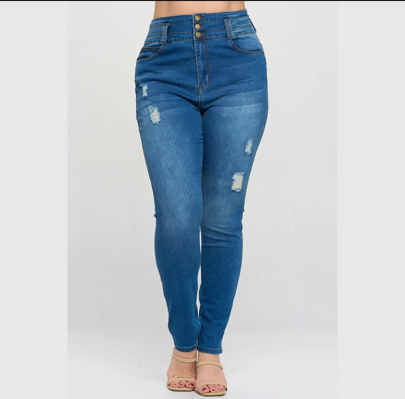 Plus size high waisted skinny jeans