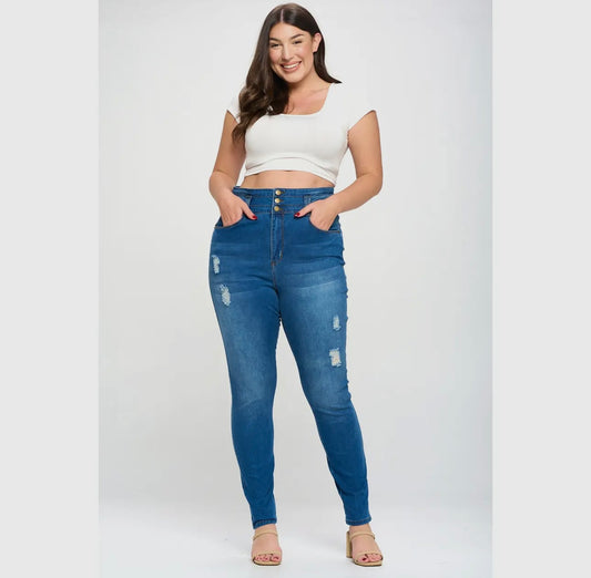 Plus size high waisted skinny jeans