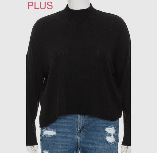 Plus mock neck, long sleeve crop top