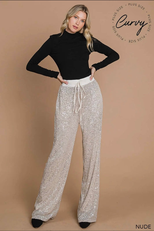 Full lined sequin pants